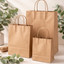 Bolsa de Papel Kraft Marrón con Asa Rizada