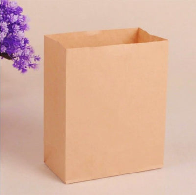 Bolsa de Papel Kraft Biodegradable